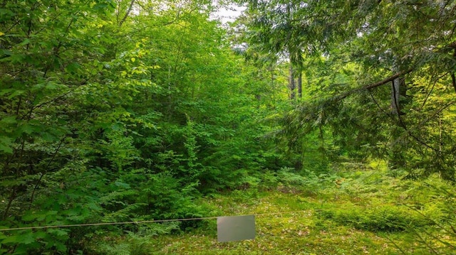 12 Emerson Rd, Hanover, ME 04237 - photo 35