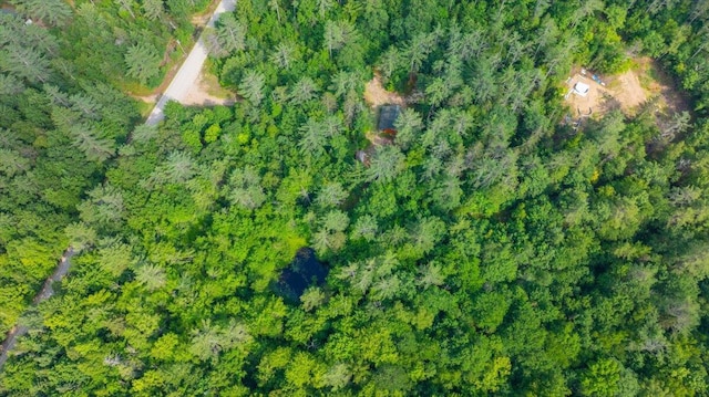 12 Emerson Rd, Hanover, ME 04237 - photo 40