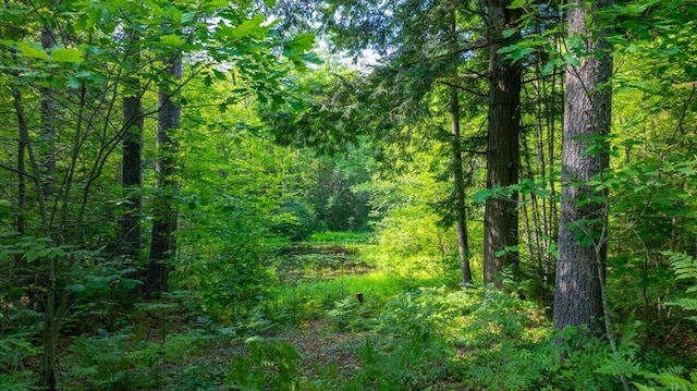12 Emerson Rd, Hanover, ME 04237 - photo 36