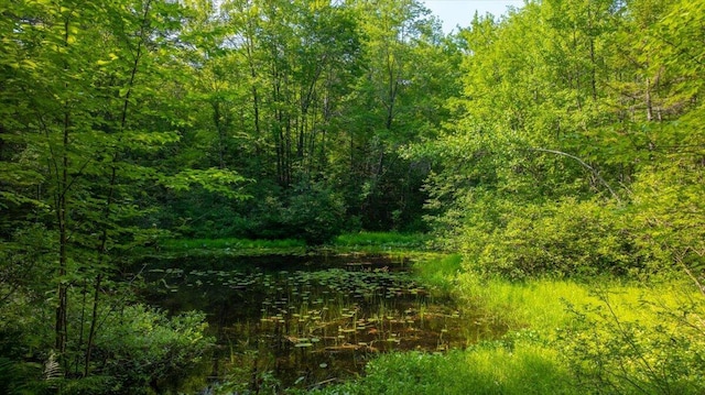 12 Emerson Rd, Hanover, ME 04237 - photo 5