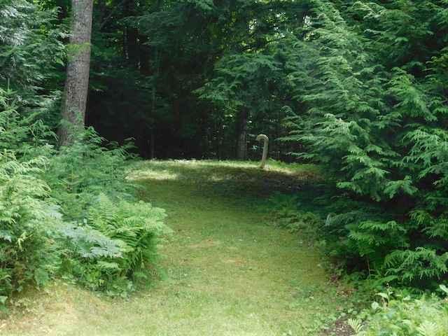 435 Canaan Rd, Skowhegan, ME 04976 - photo 11