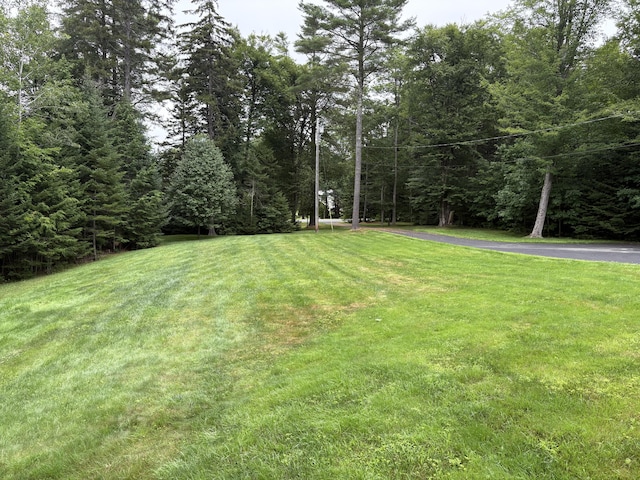 109 Durham Rd, Brunswick, ME 04011 - photo 5