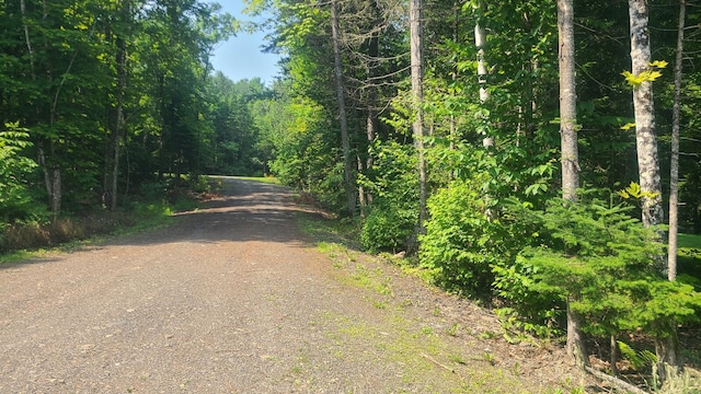 792 W Rd, Portage Lake, ME 04768 - photo 27