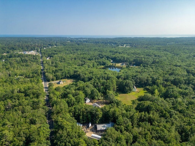 66 Log Cabin Rd, Arundel, ME 04046 - photo 45