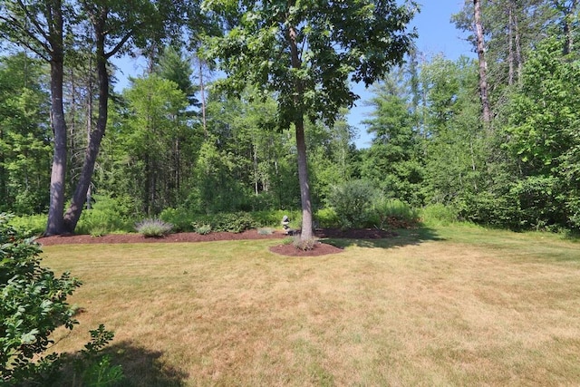 72 Chickadee Ln, Hampden, ME 04444 - photo 6
