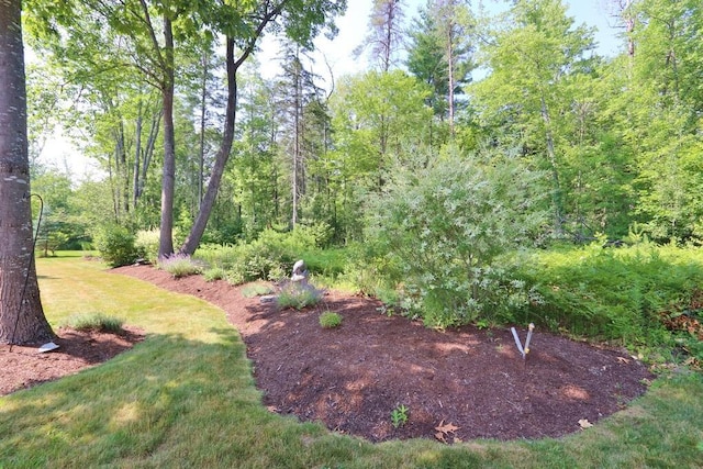 72 Chickadee Ln, Hampden, ME 04444 - photo 10