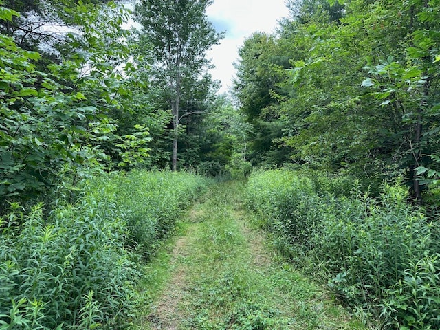 P/OM9L14 E Sandy River Rd, Mercer, ME 04957 - photo 4