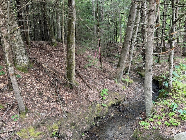 P/OM9L14 E Sandy River Rd, Mercer, ME 04957 - photo 6