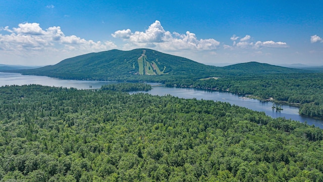 119 Buswell Rd, Bridgton, ME 04009 - photo 15