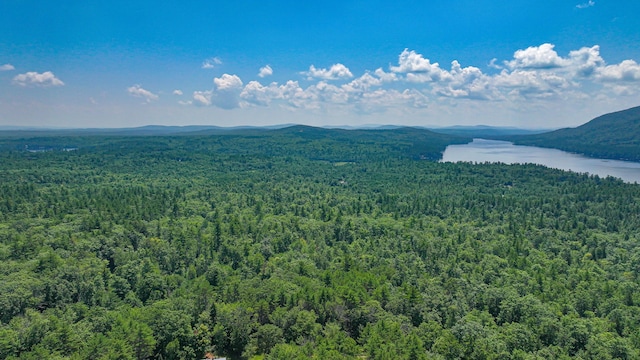 119 Buswell Rd, Bridgton, ME 04009 - photo 13