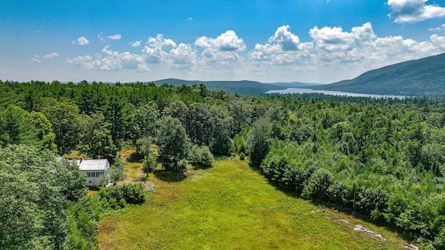 119 Buswell Rd, Bridgton, ME 04009 - photo 10