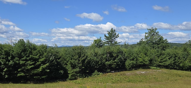 119 Buswell Rd, Bridgton, ME 04009 - photo 16