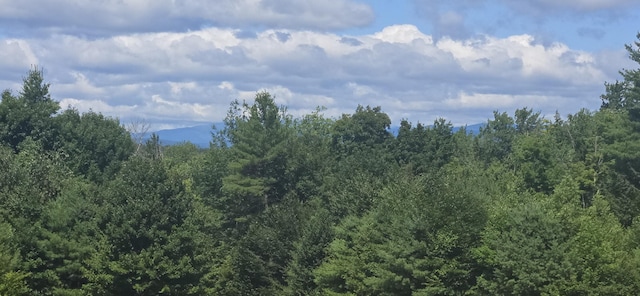 119 Buswell Rd, Bridgton, ME 04009 - photo 18