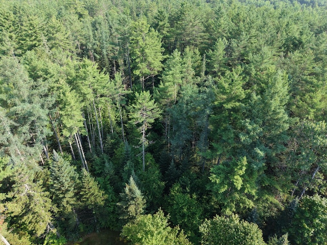 6 The Pines Dr, New Portland, ME 04961 - photo 40