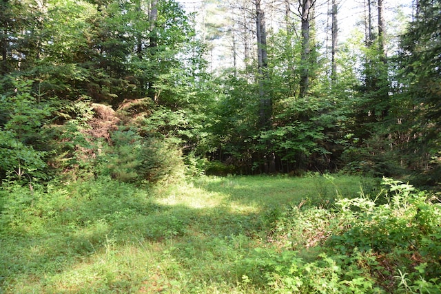 6 The Pines Dr, New Portland, ME 04961 - photo 34