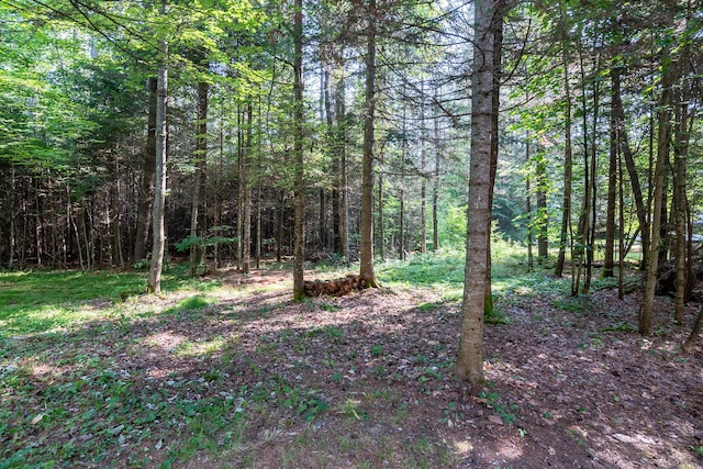 6 The Pines Dr, New Portland, ME 04961 - photo 52