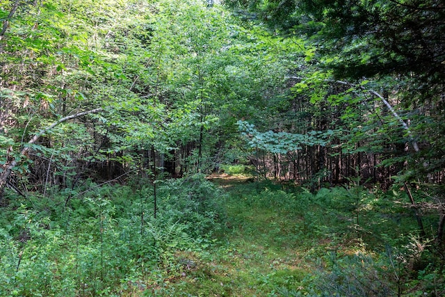 6 The Pines Dr, New Portland, ME 04961 - photo 53