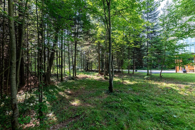6 The Pines Dr, New Portland, ME 04961 - photo 55