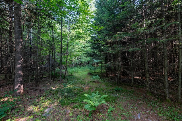 6 The Pines Dr, New Portland, ME 04961 - photo 56