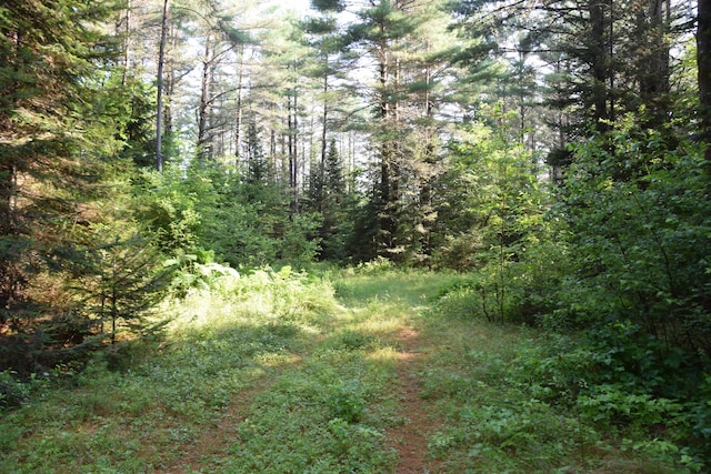 6 The Pines Dr, New Portland, ME 04961 - photo 66