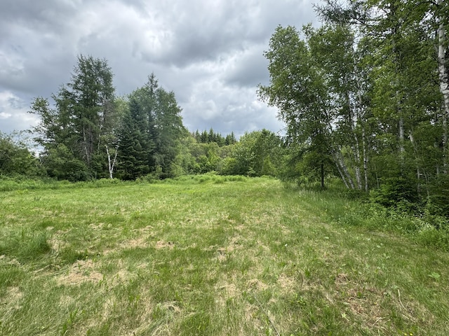 1529 Van Buren Rd, Caswell, ME 04750 - photo 11
