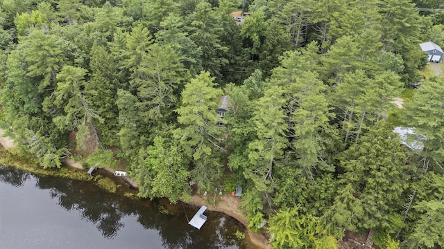 12 White Pine Dr, Hollis, ME 04042 - photo 47