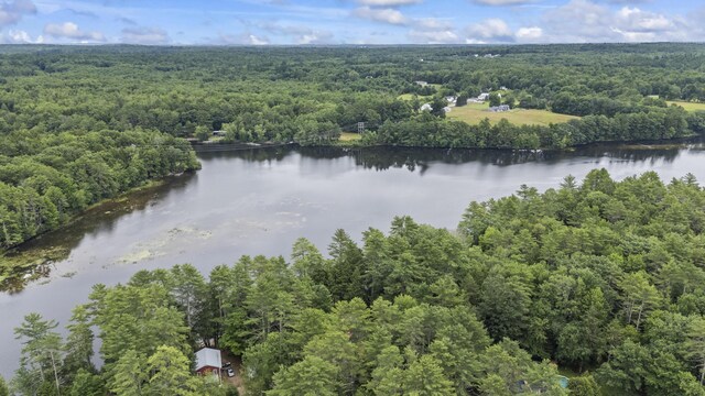 12 White Pine Dr, Hollis, ME 04042 - photo 50