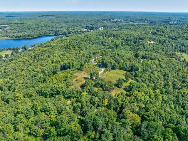 100-101 Payeur Ln, Alfred, ME 04002 - photo 3