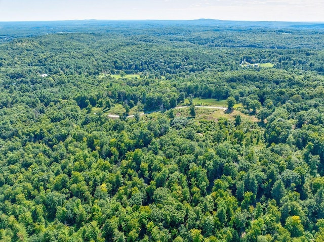 100-101 Payeur Ln, Alfred, ME 04002 - photo 5
