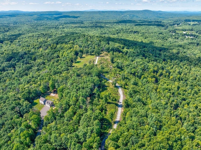 100-101 Payeur Ln, Alfred, ME 04002 - photo 6