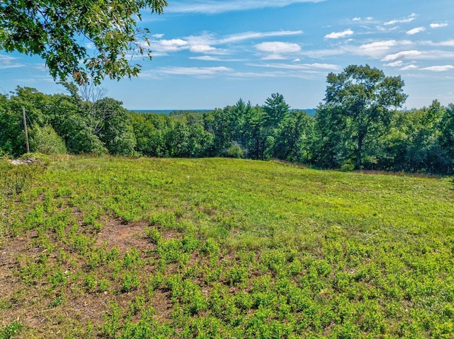 100-101 Payeur Ln, Alfred, ME 04002 - photo 8
