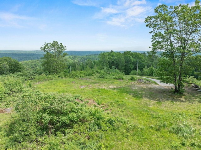 100-101 Payeur Ln, Alfred, ME 04002 - photo 9