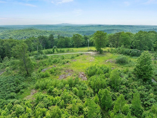 100-101 Payeur Ln, Alfred, ME 04002 - photo 10