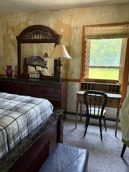 156 Rte 108, Rumford, ME 04276 - photo 35
