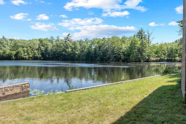 58 New Dam Rd, Sanford, ME 04073 - photo 58