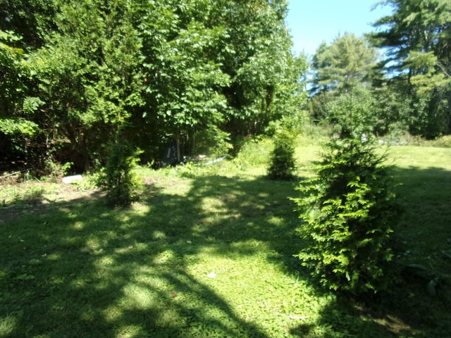 97 Robbins Rd, Belfast, ME 04915 - photo 31