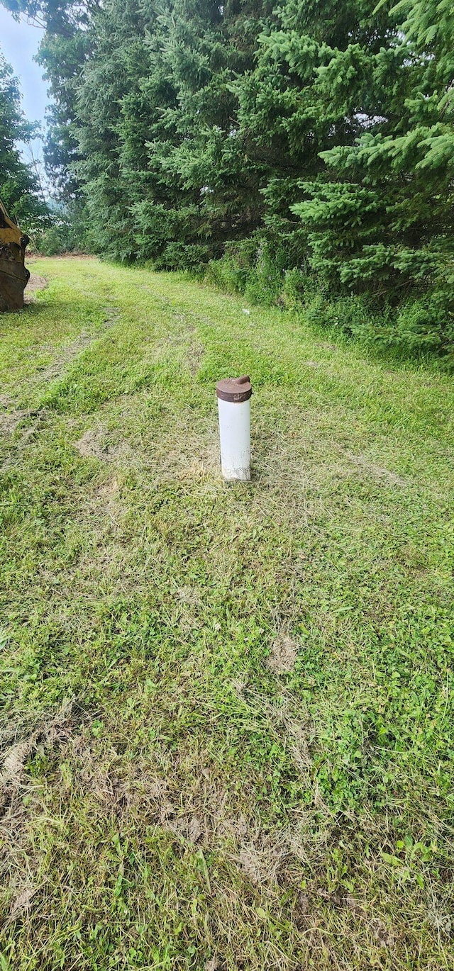 201 Old Washburn Rd, Caribou, ME 04736 - photo 6
