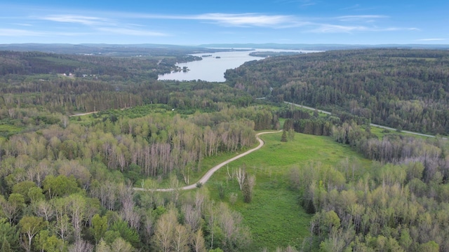 LOT75 Brisse Culotte Rd, Saint Agatha, ME 04772 - photo 3