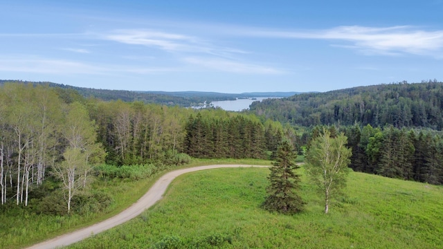 LOT75 Brisse Culotte Rd, Saint Agatha, ME 04772 - photo 1