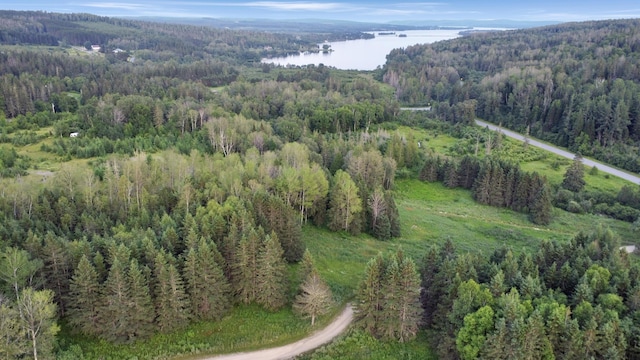 LOT75 Brisse Culotte Rd, Saint Agatha, ME 04772 - photo 4