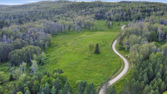 LOT75 Brisse Culotte Rd, Saint Agatha, ME 04772 - photo 5