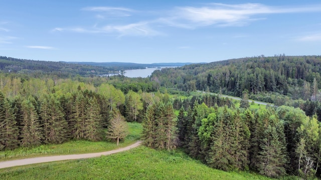 LOT75 Brisse Culotte Rd, Saint Agatha, ME 04772 - photo 2