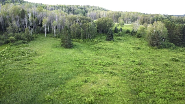 LOT75 Brisse Culotte Rd, Saint Agatha, ME 04772 - photo 7