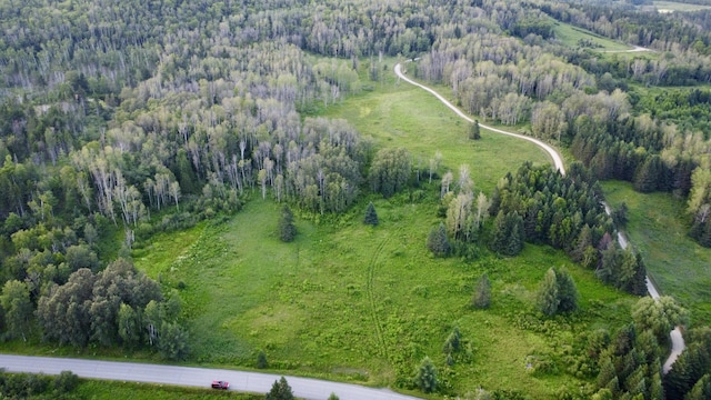 LOT75 Brisse Culotte Rd, Saint Agatha, ME 04772 - photo 8