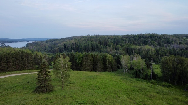 LOT75 Brisse Culotte Rd, Saint Agatha, ME 04772 - photo 10