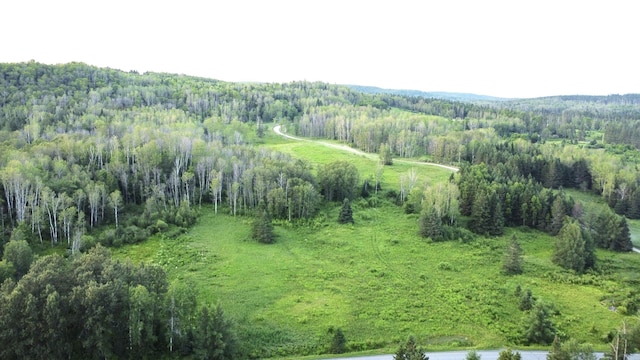 LOT75 Brisse Culotte Rd, Saint Agatha, ME 04772 - photo 11