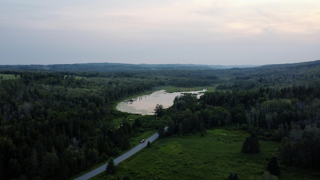 LOT75 Brisse Culotte Rd, Saint Agatha, ME 04772 - photo 13
