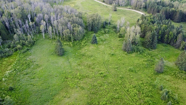 LOT75 Brisse Culotte Rd, Saint Agatha, ME 04772 - photo 14