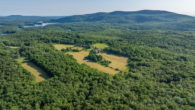 45 Melvin Heights Rd, Camden, ME 04843 - photo 8