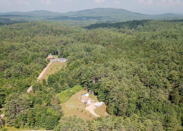 469 Old County Rd, Brownfield, ME 04010 - photo 38